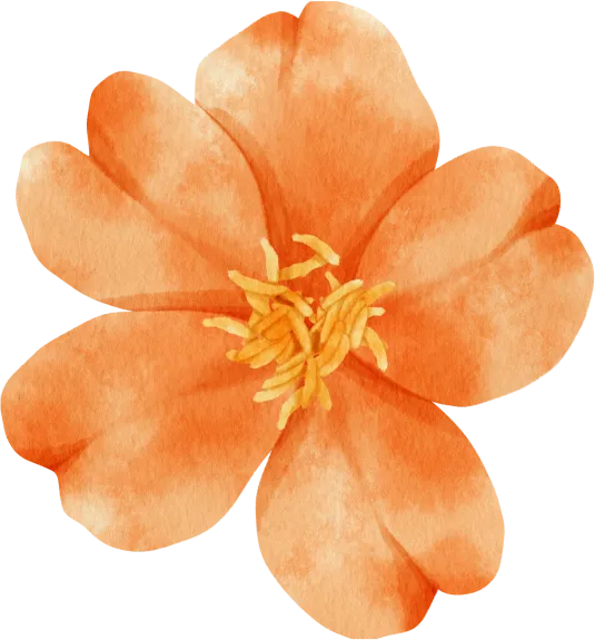 orange-flower