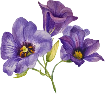 flower-2