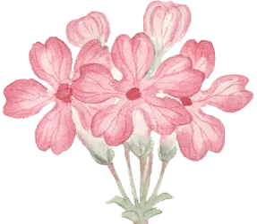 flower-3