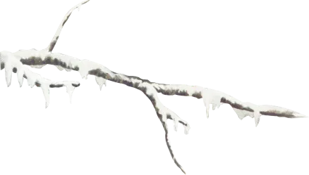 branch