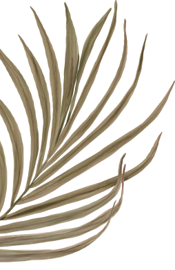 palm-04