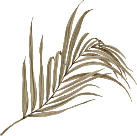 palm-05