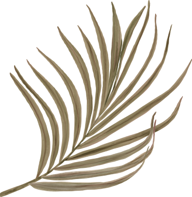 palm-07