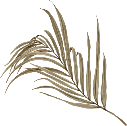 palm-08