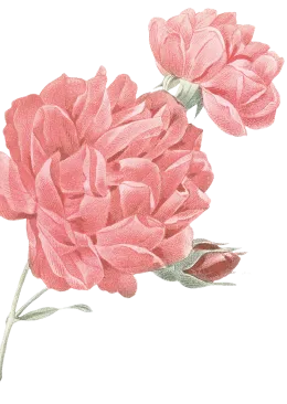 flower-1