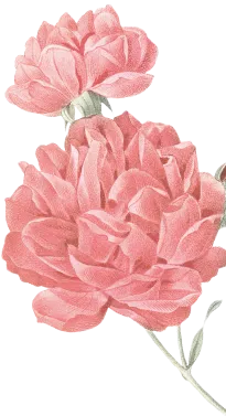 flower-3