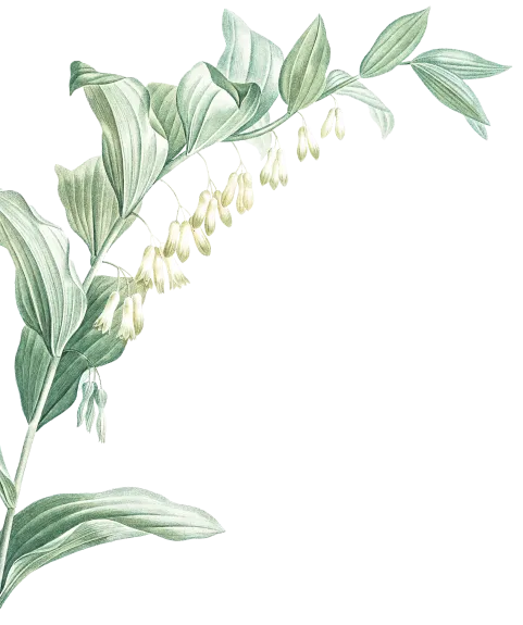 leaf-1