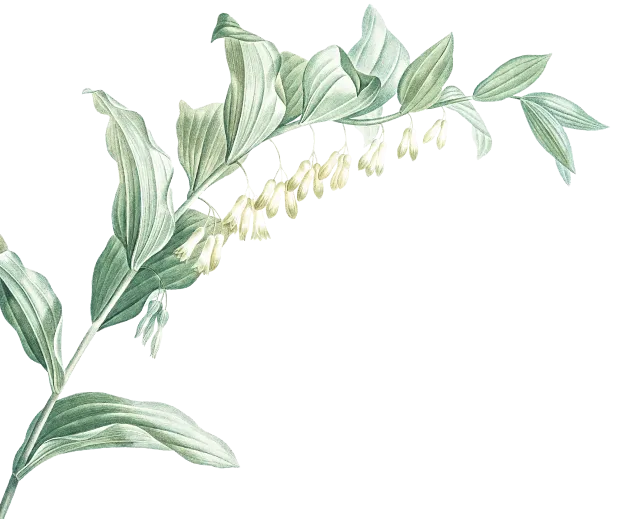 leaf-2