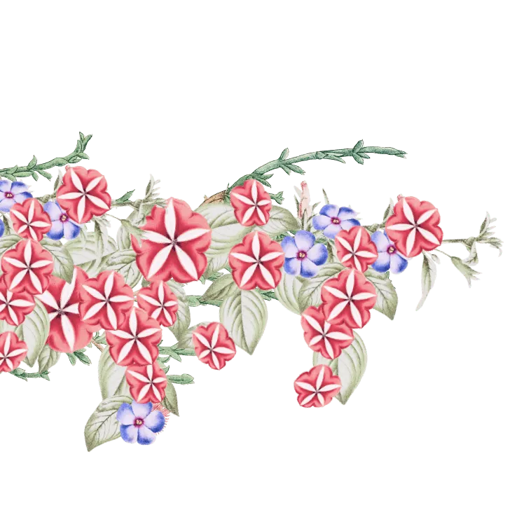 ornament-02