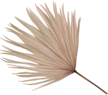 daun-1