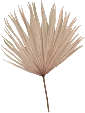 daun-2