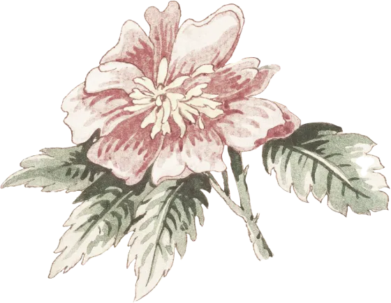 flower-2
