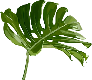 leaf-2