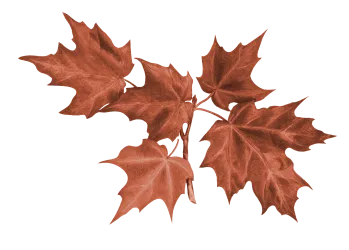 leaf-2