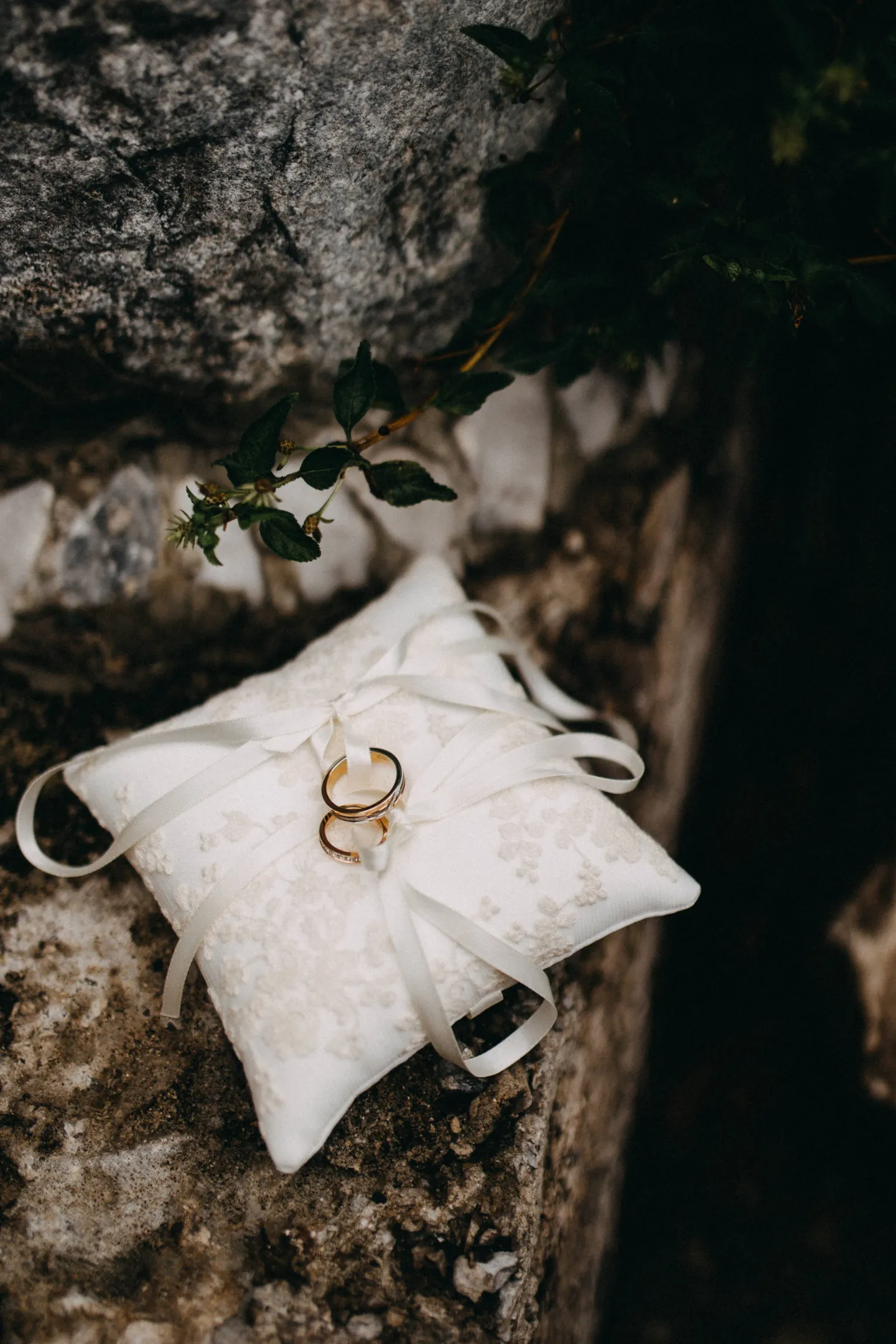 cover-background