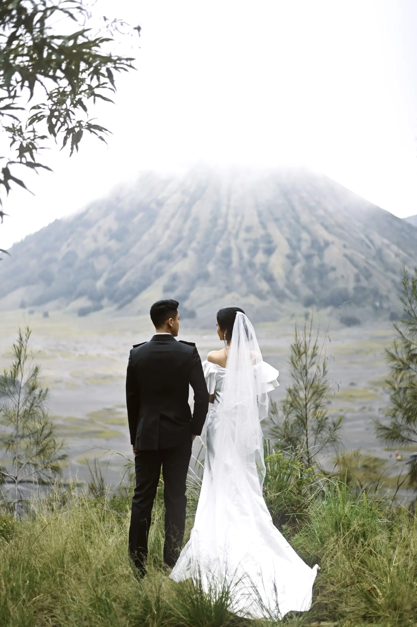 cover-background