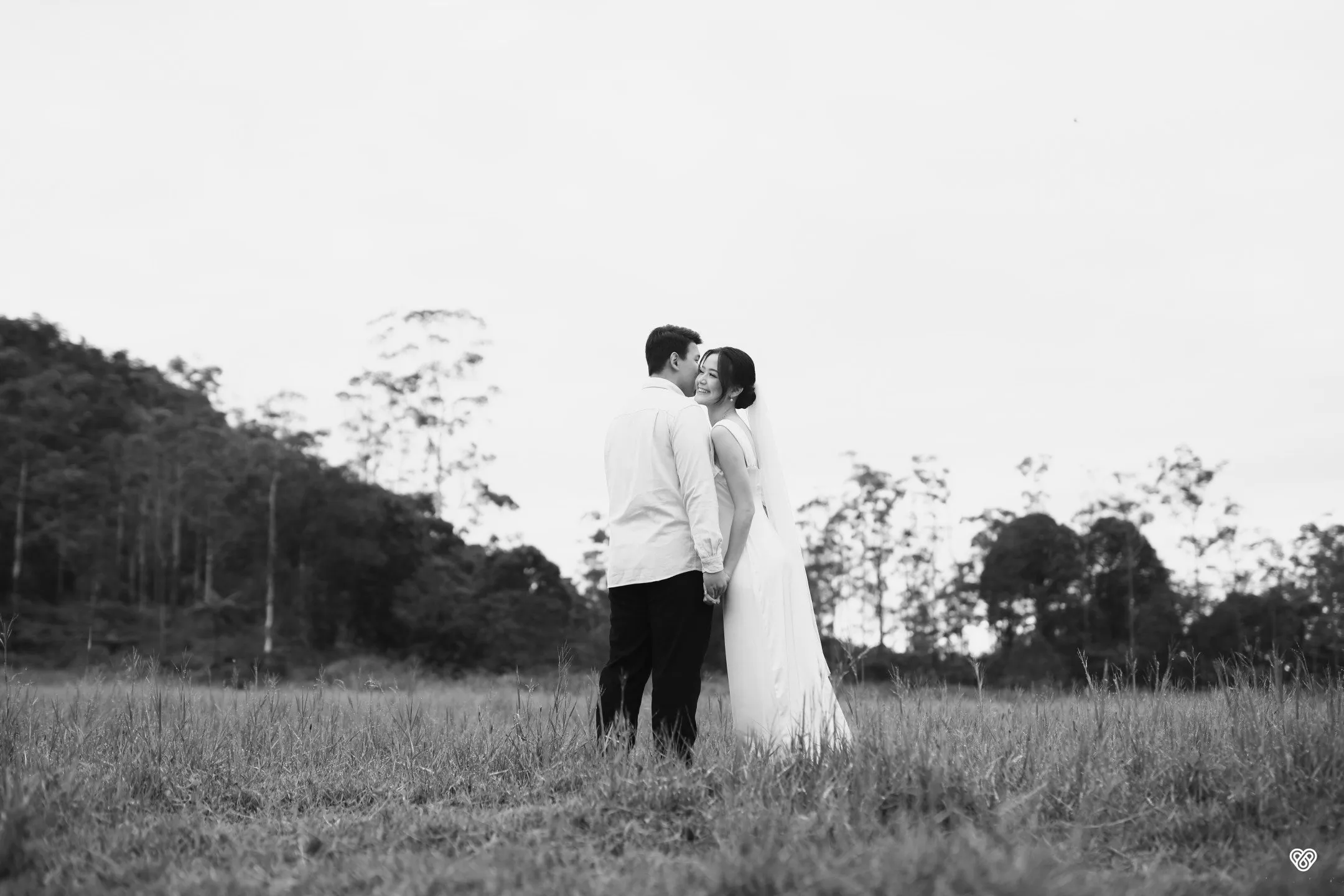 cover-background