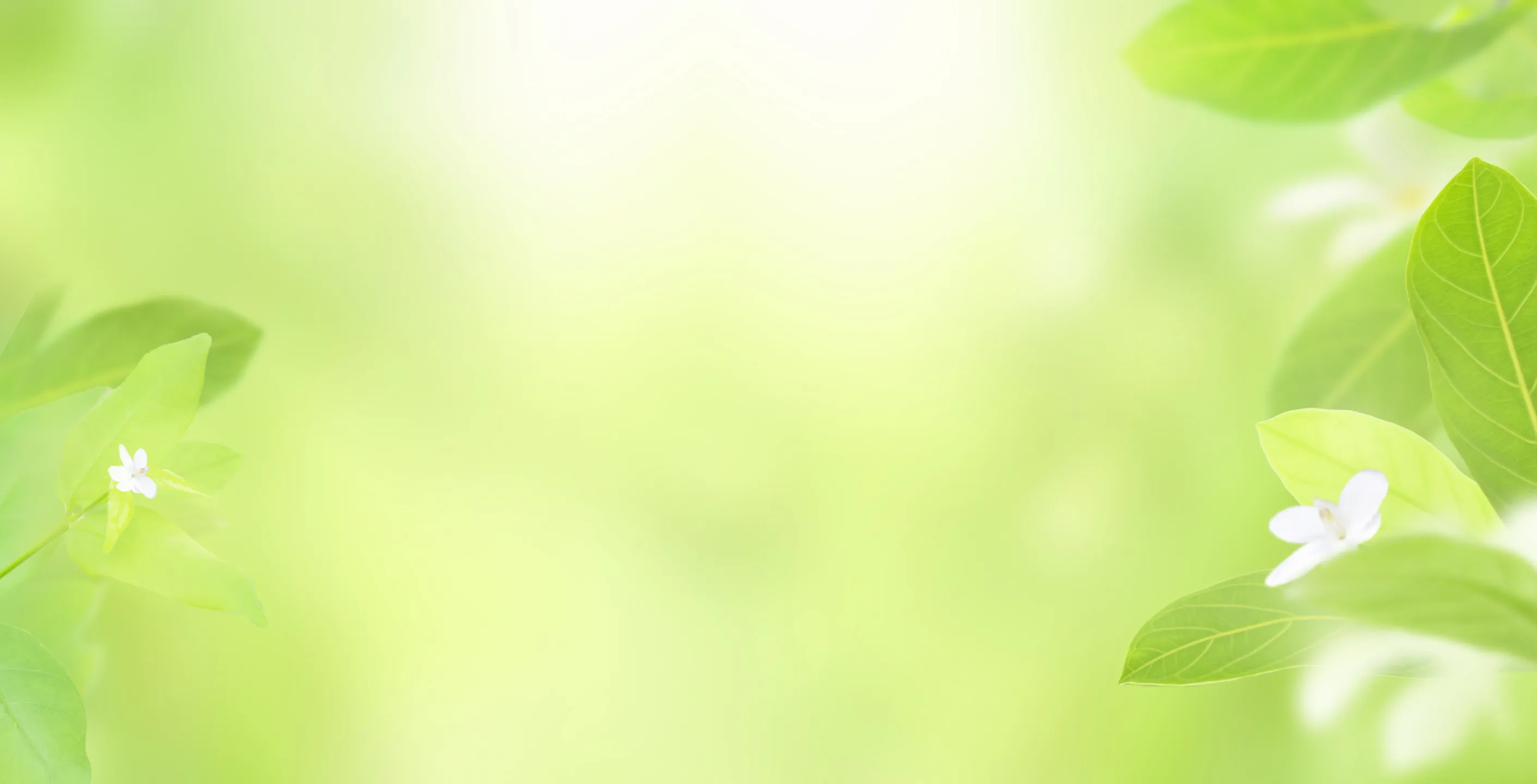 thank-background