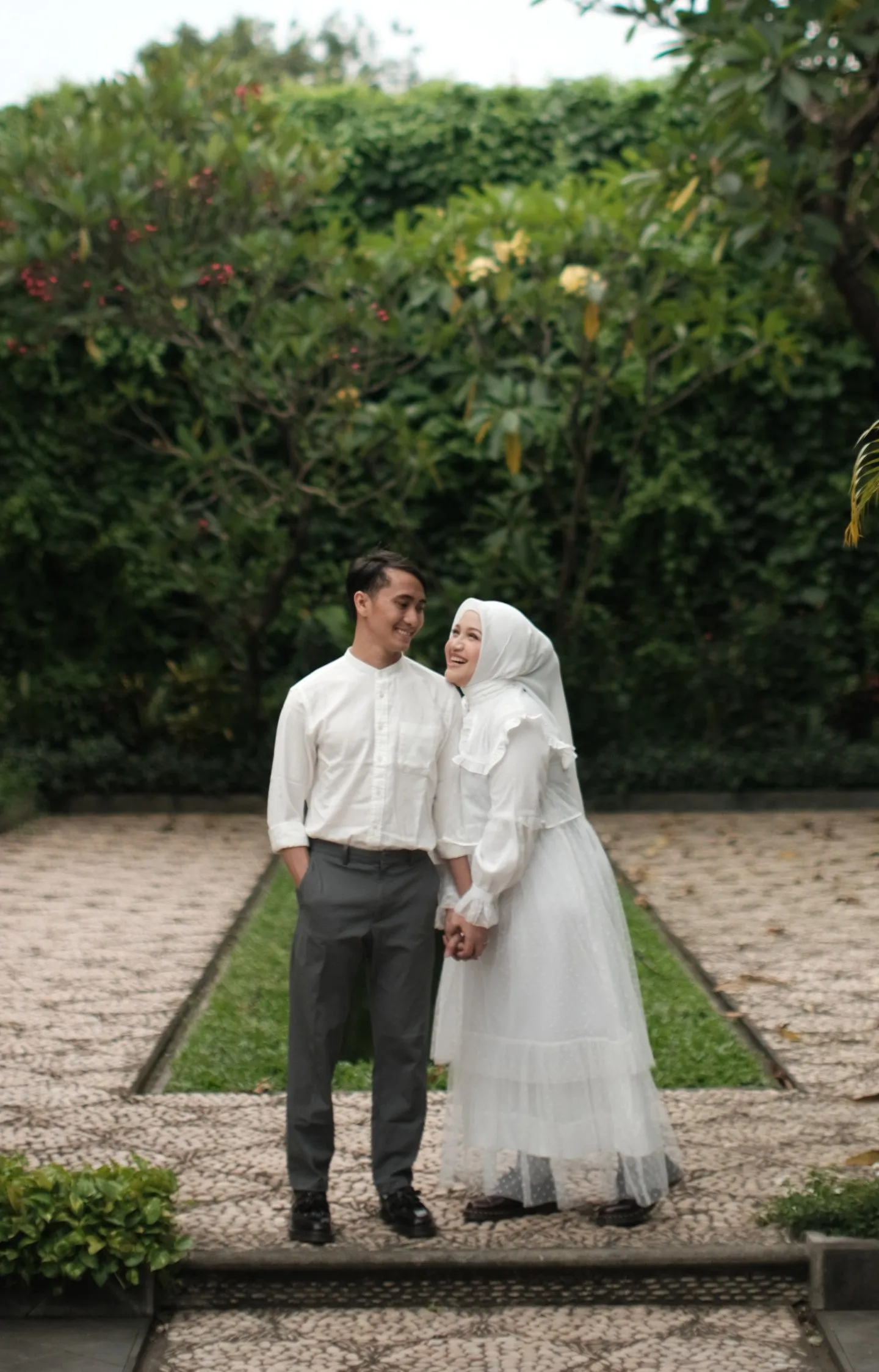 cover-background