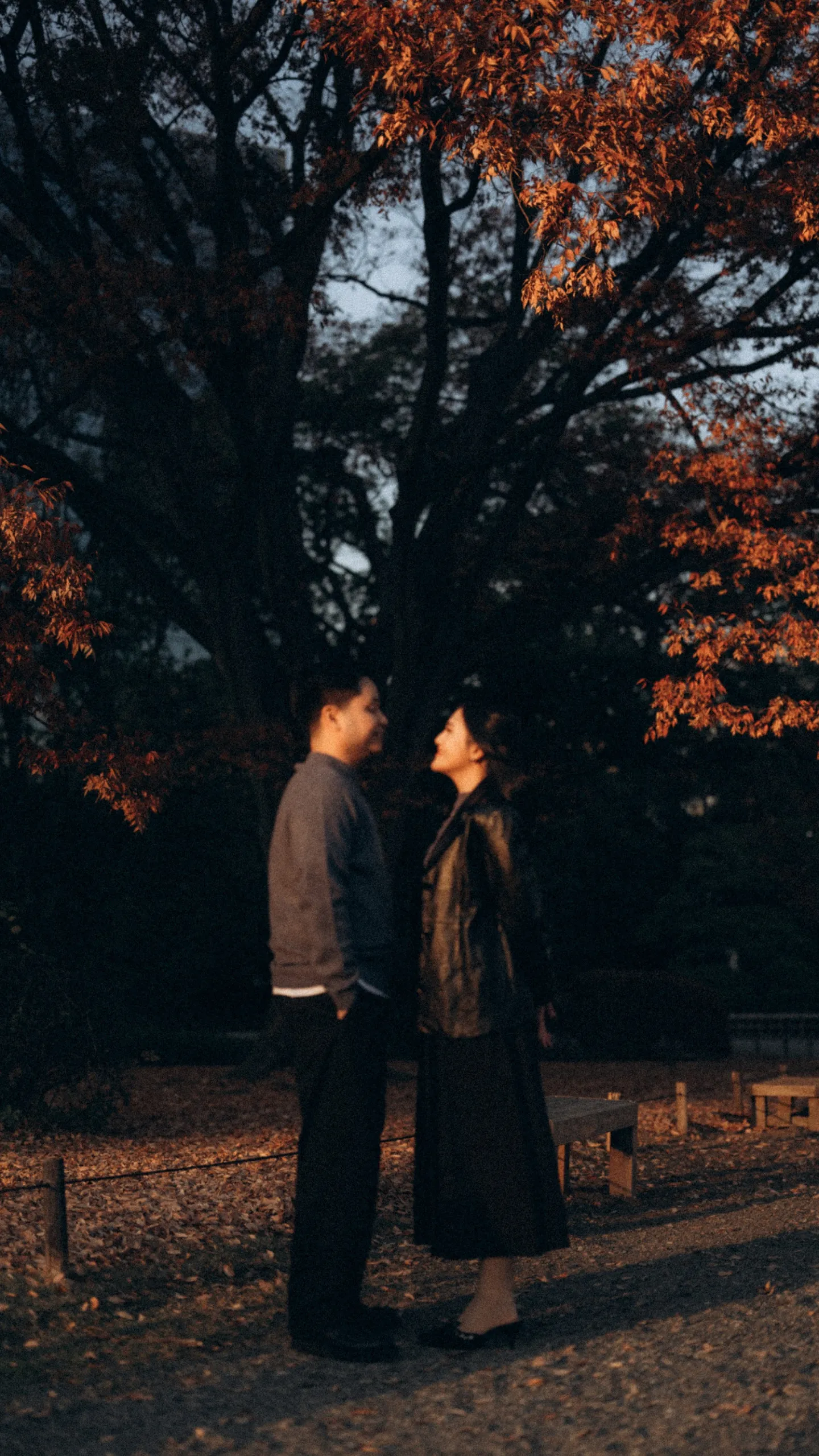 cover-background