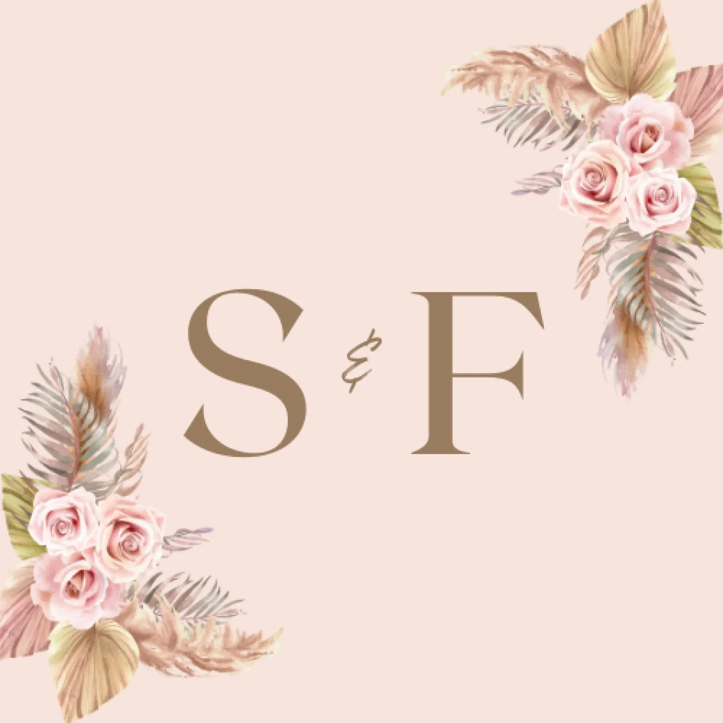 header-background