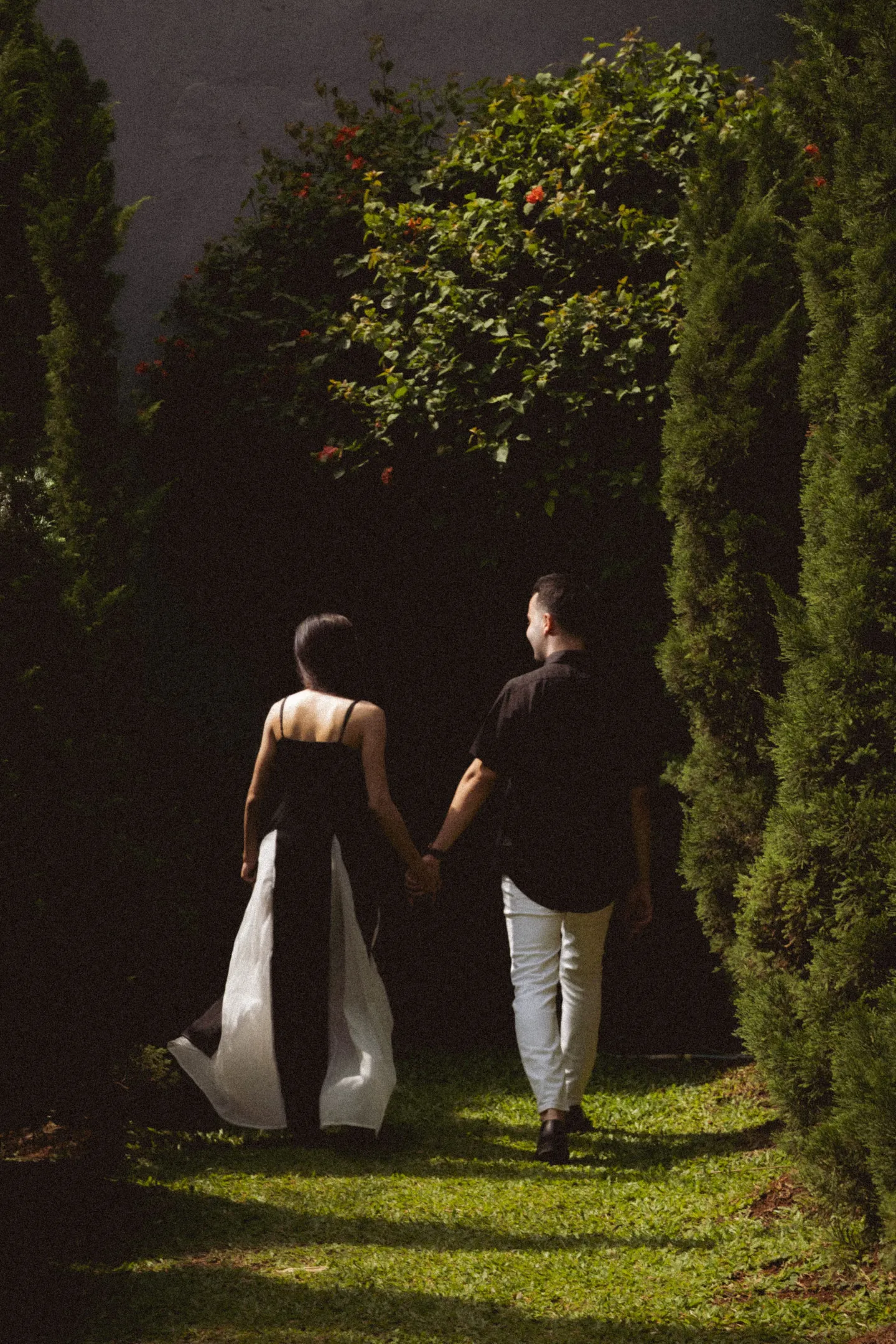 header-background