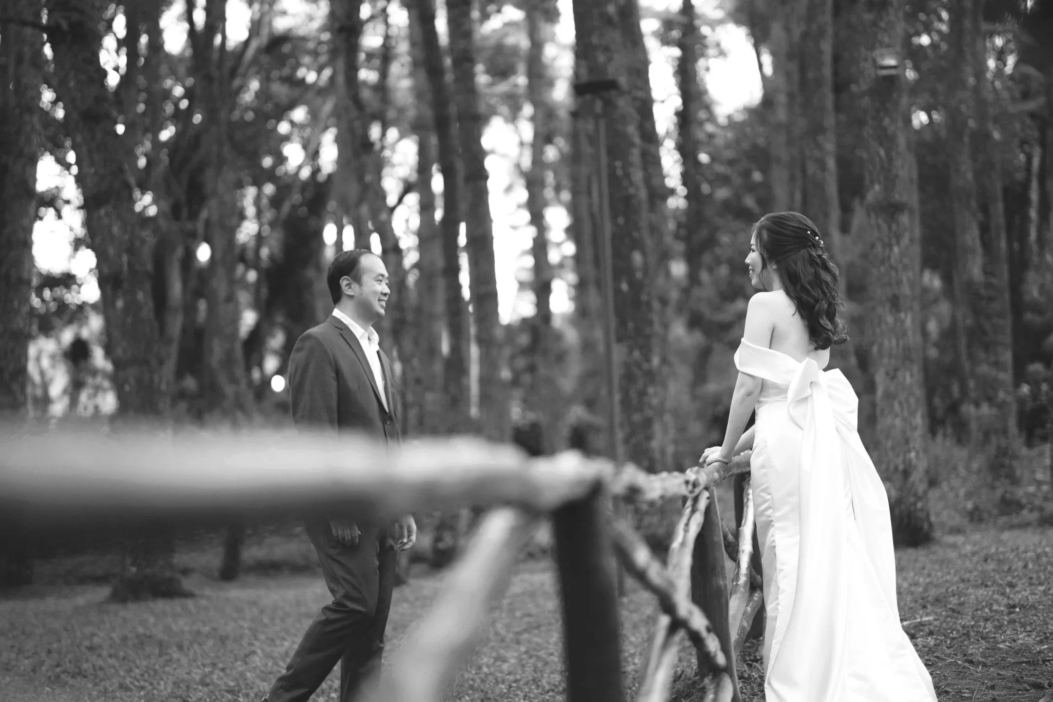 header-background