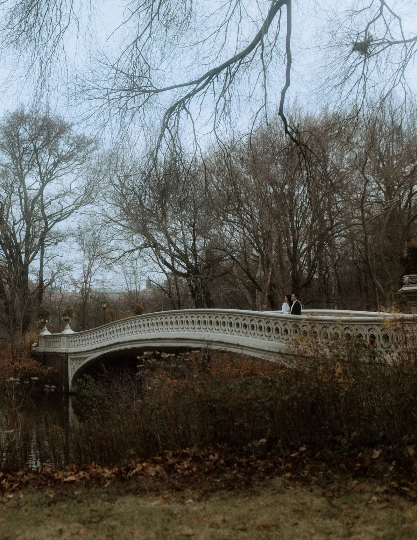 cover-background