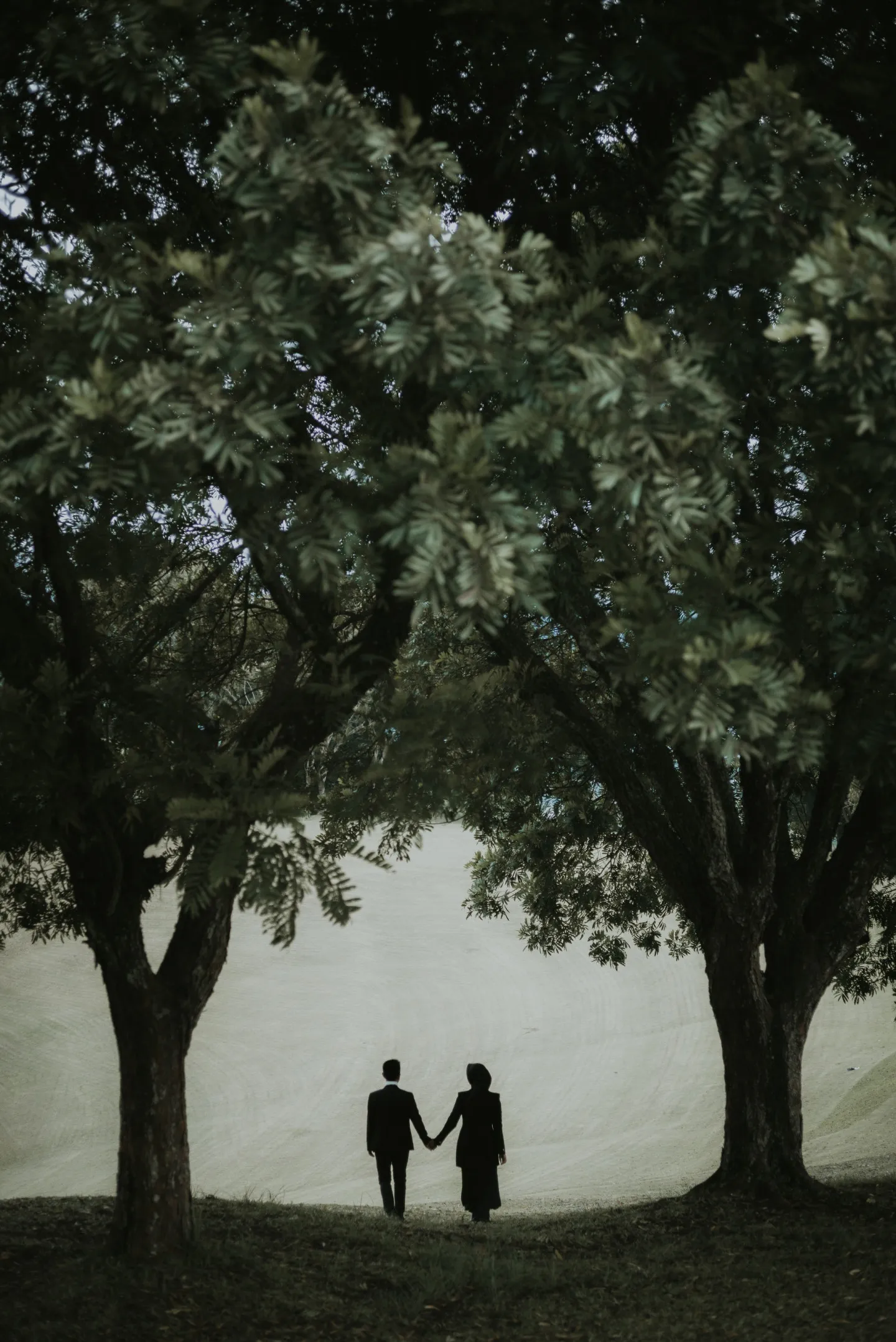 cover-background