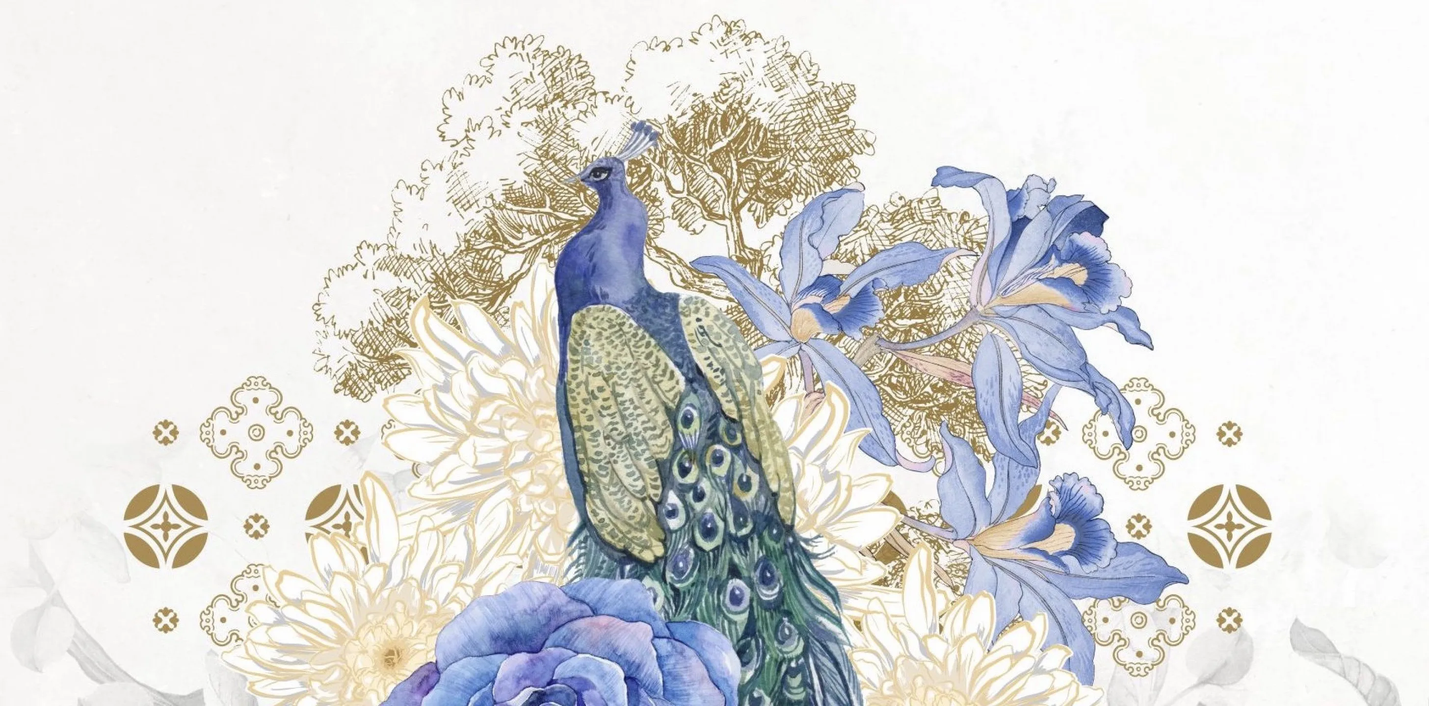 cover-background