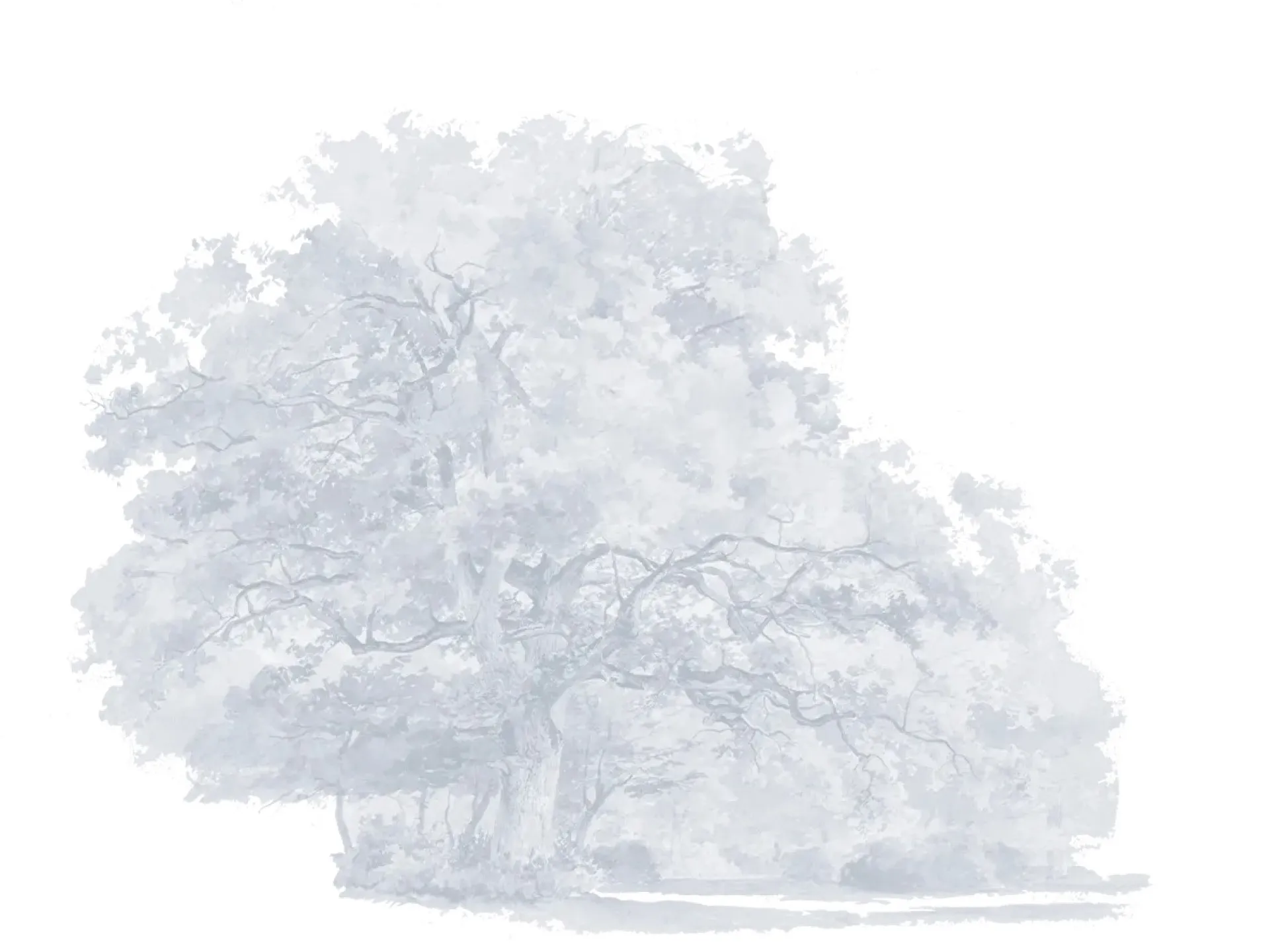 story-background