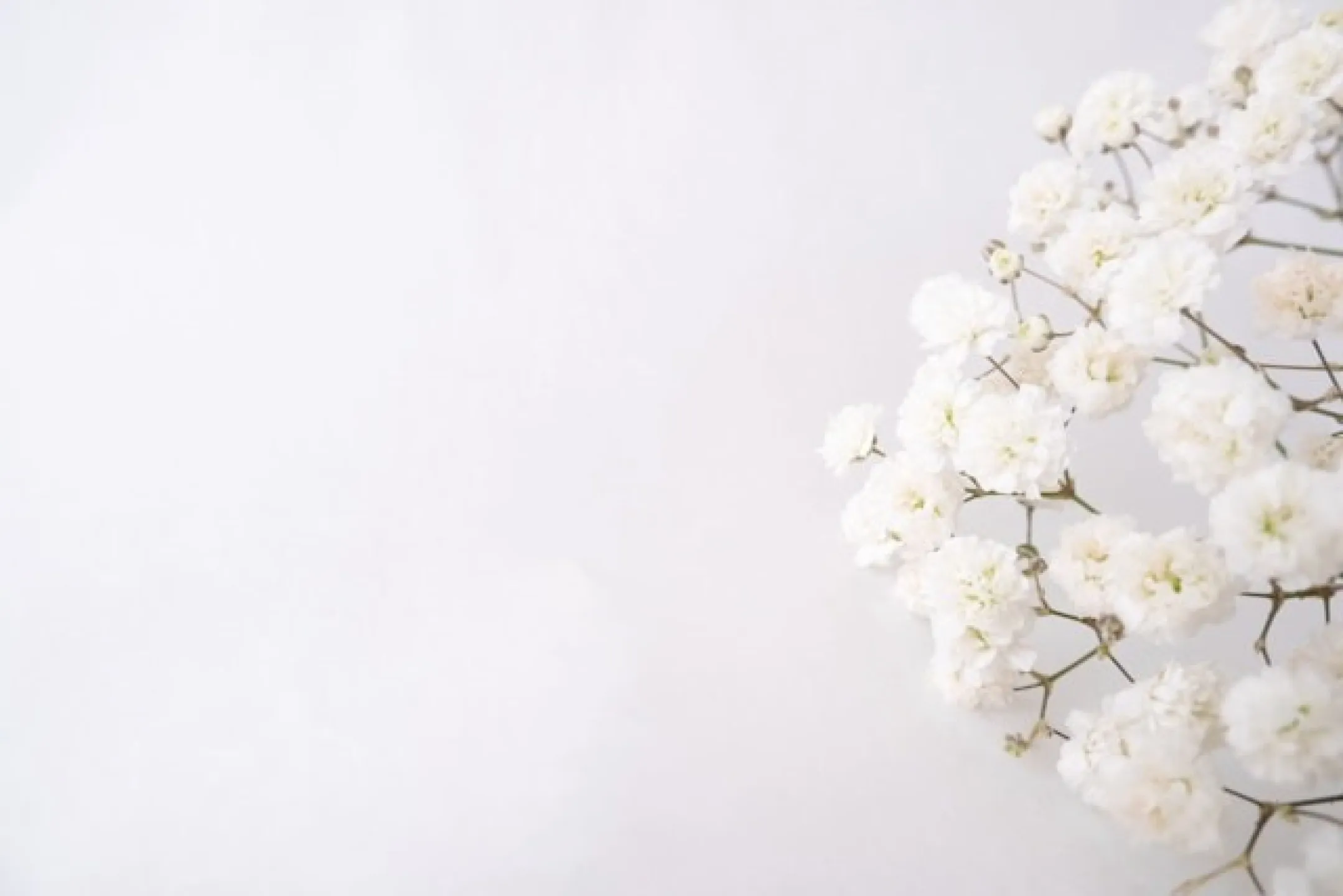 thank-background
