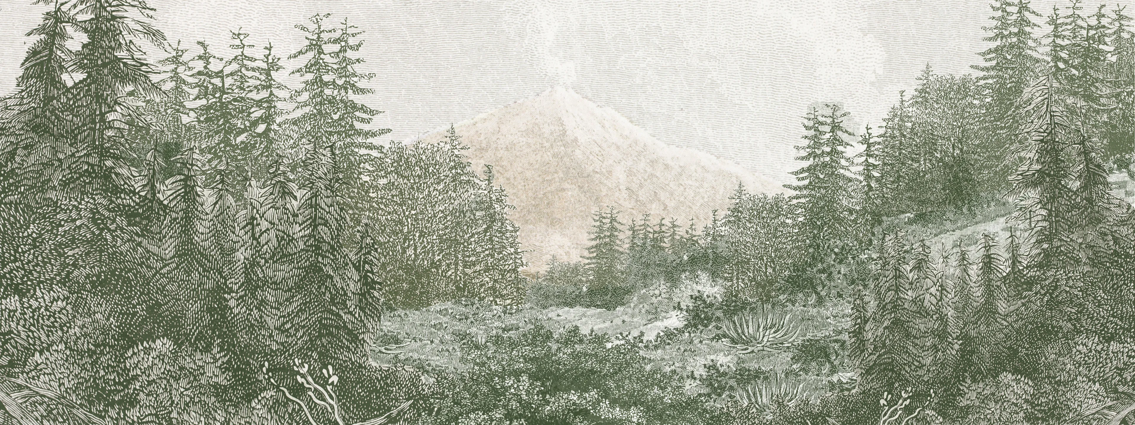 couple-background