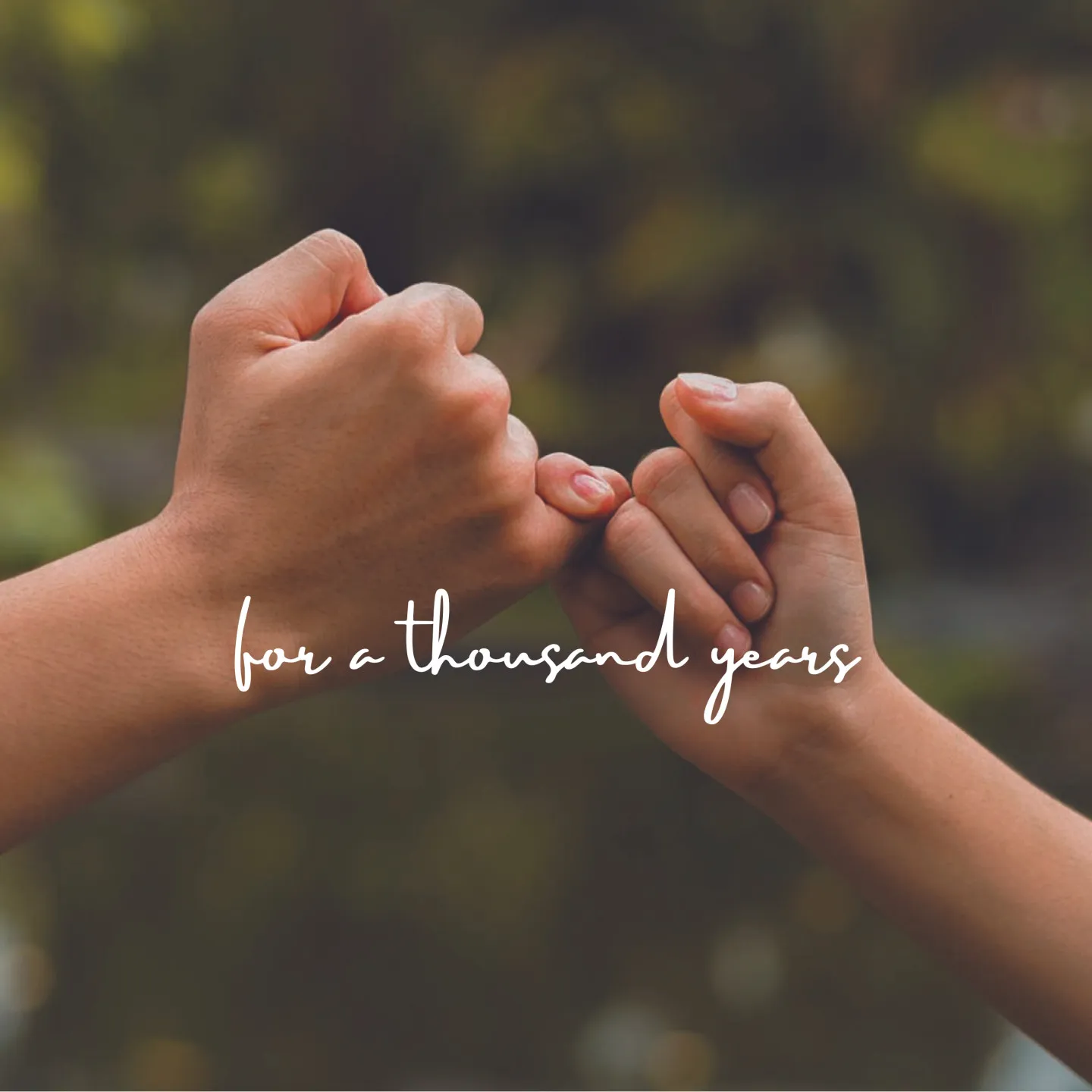 header-background