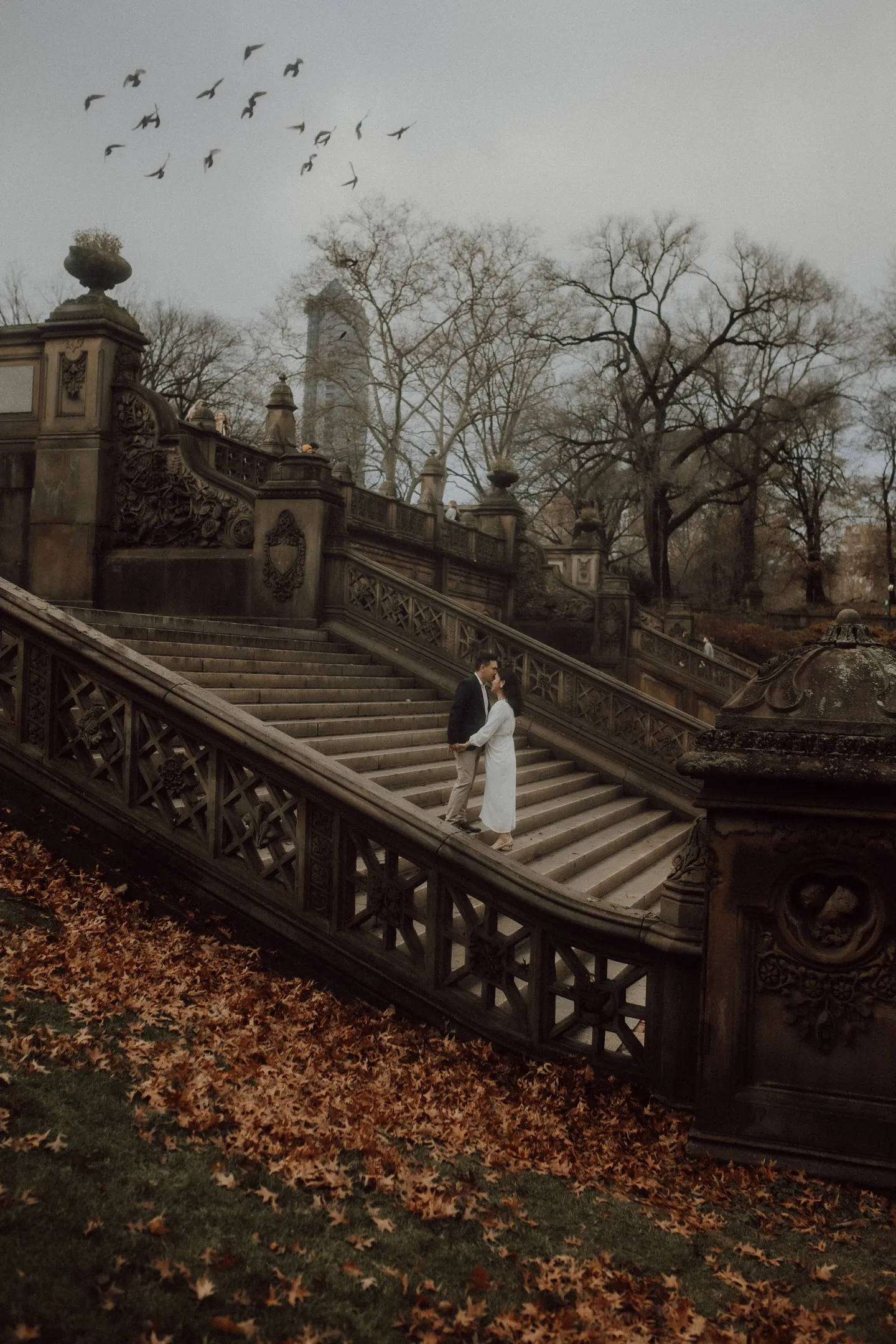 story-background