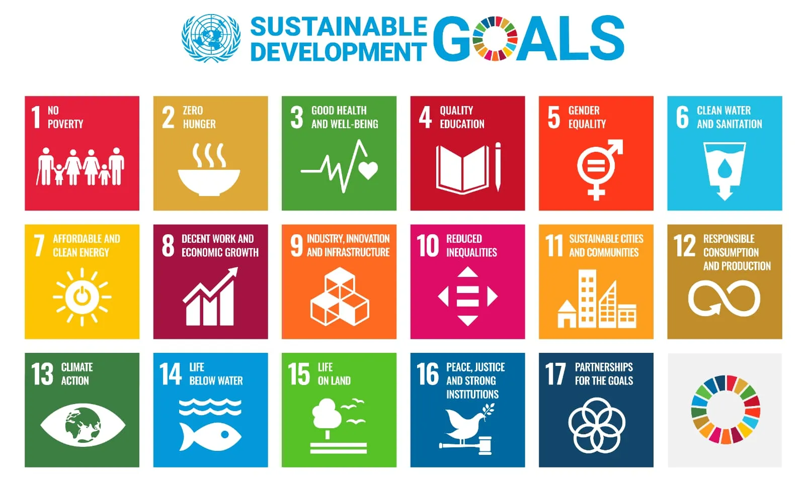 🌍✨ Viding dan Komitmen Kami Terhadap SDGs untuk Masa Depan yang Berkelanjutan ✨🌍