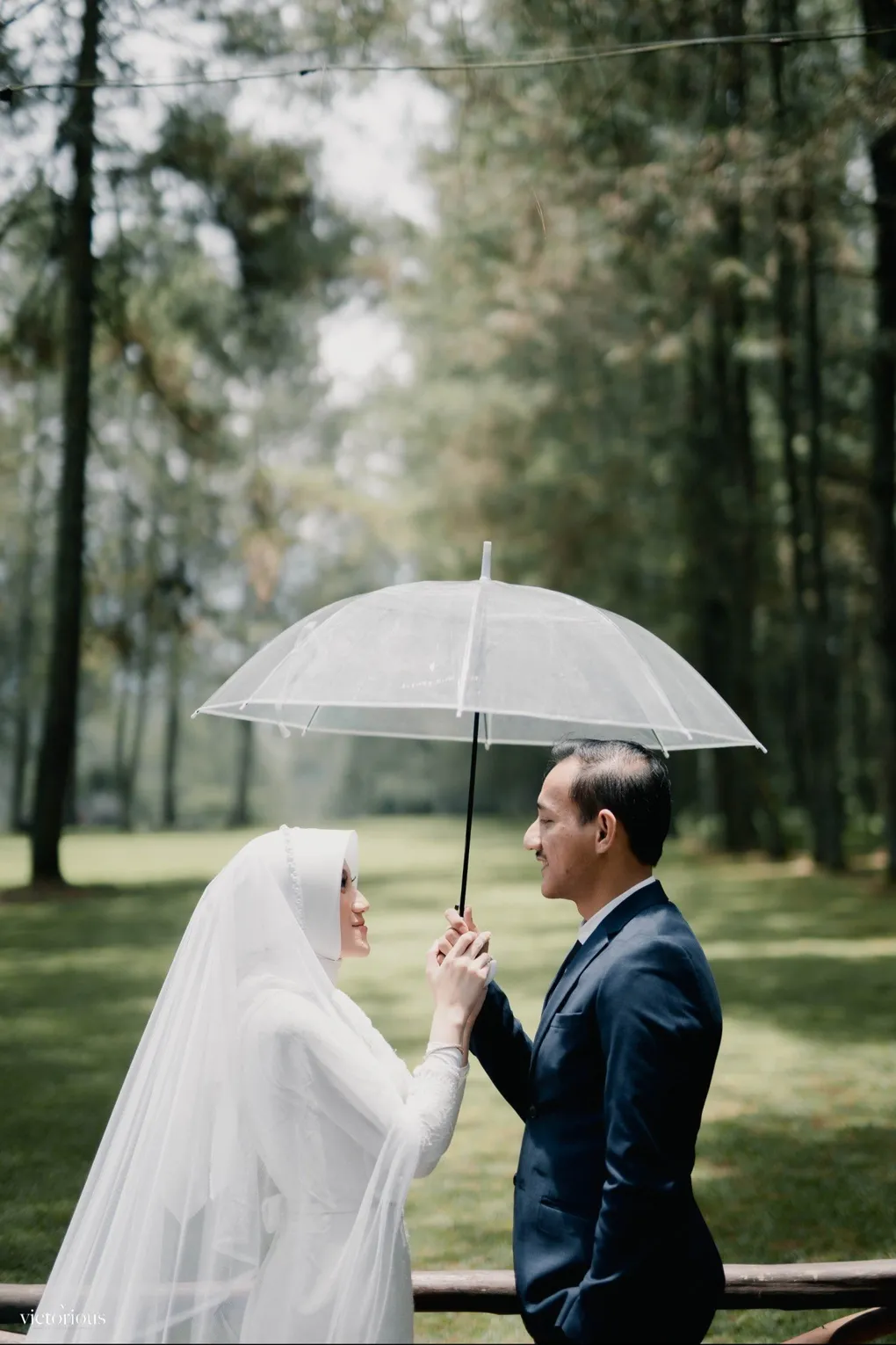 cover-background