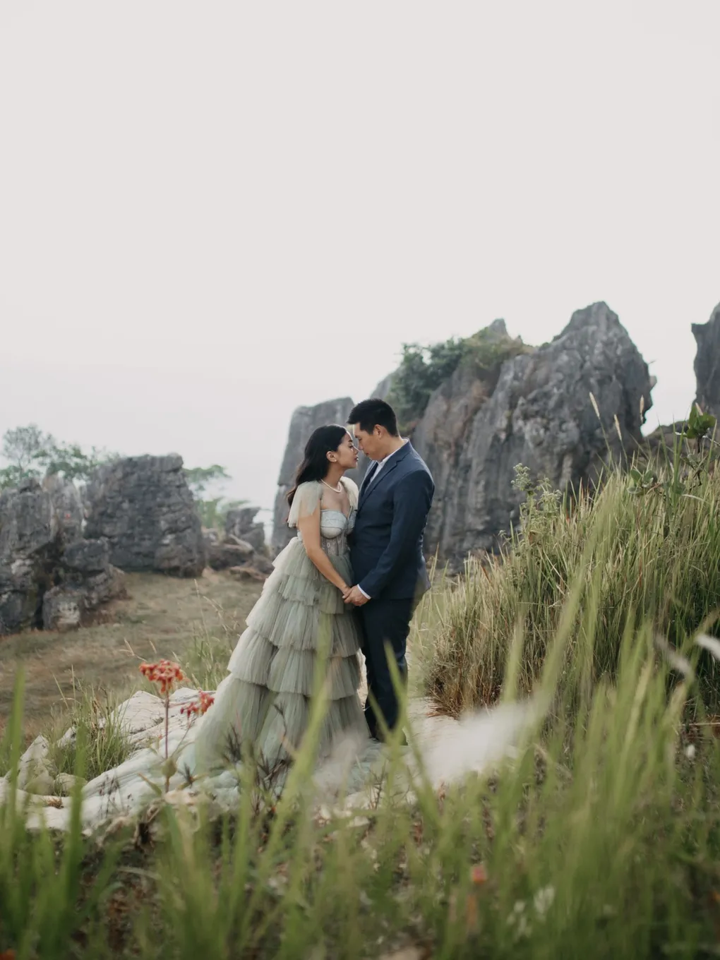 cover-background