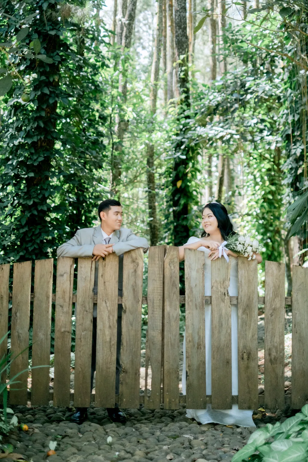 cover-background