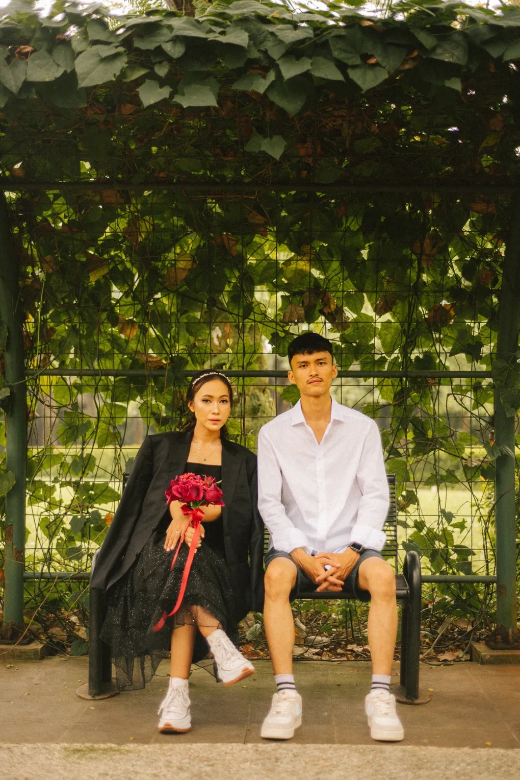 cover-background