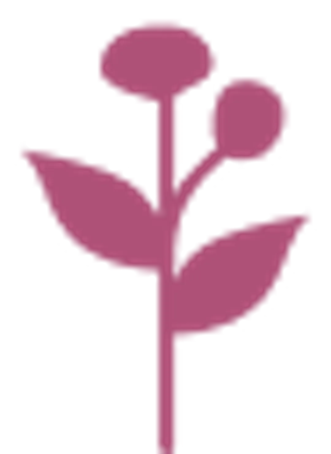 ornament-2