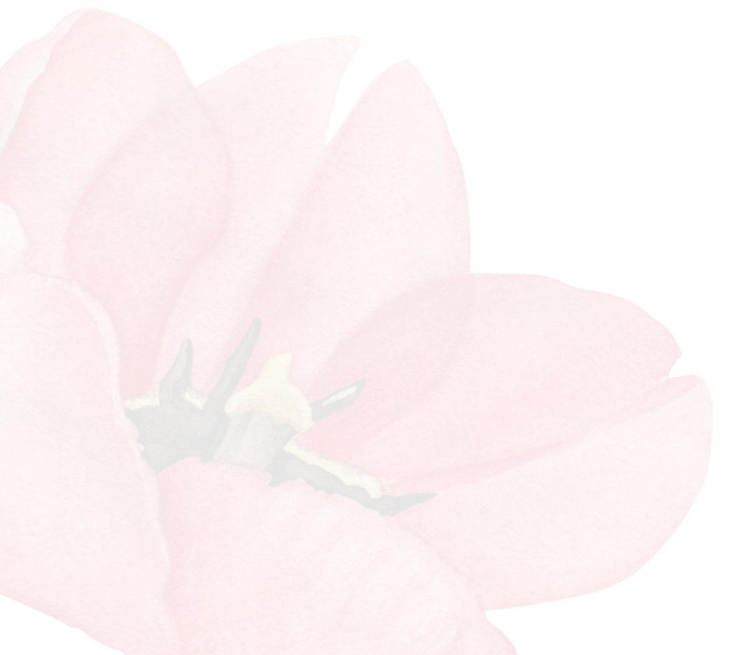 rose-trans-2