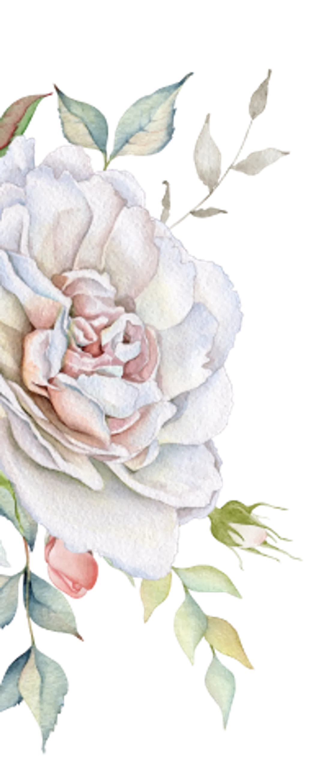 rose-stream