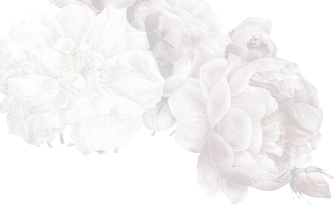 rose-cover-1