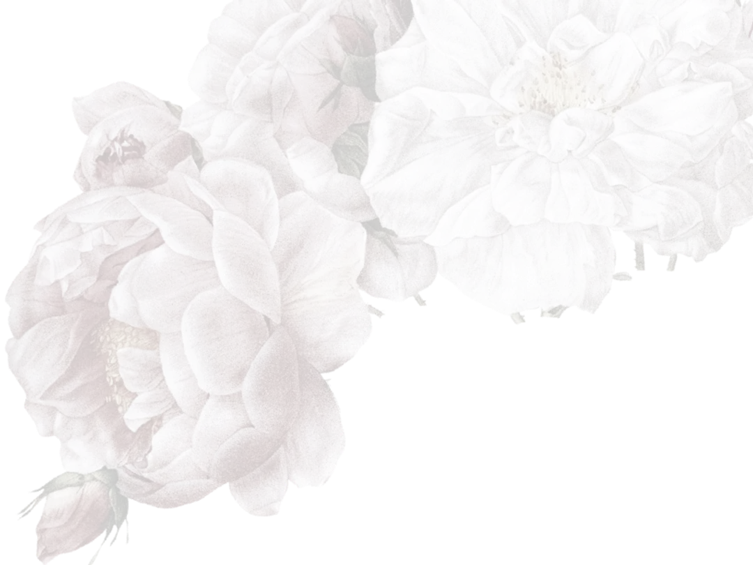 rose-cover-2
