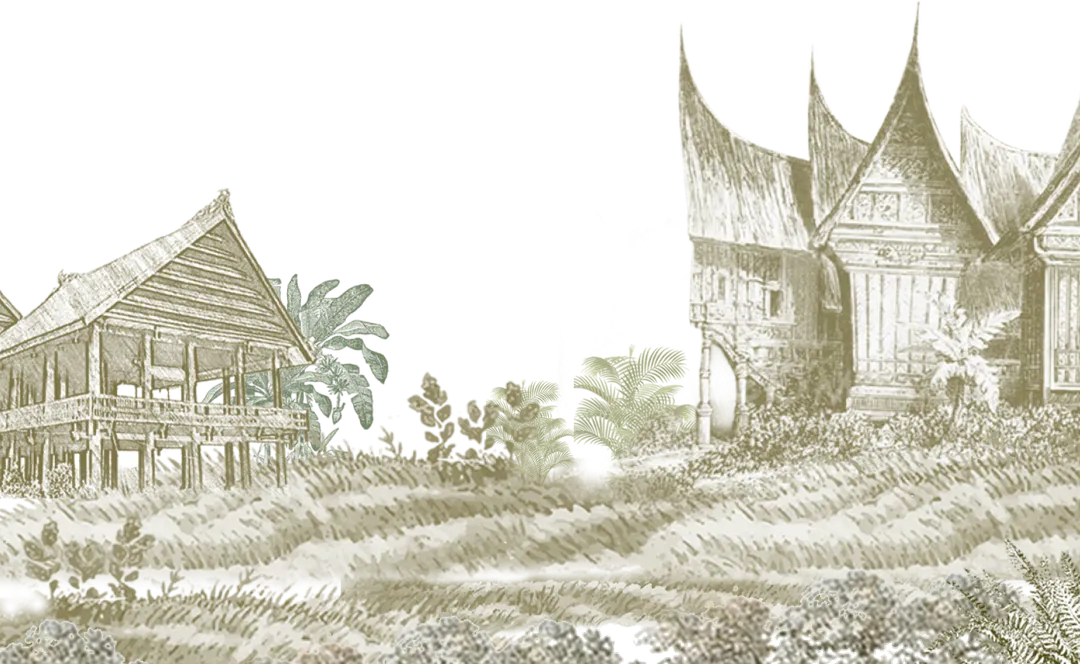bg-main