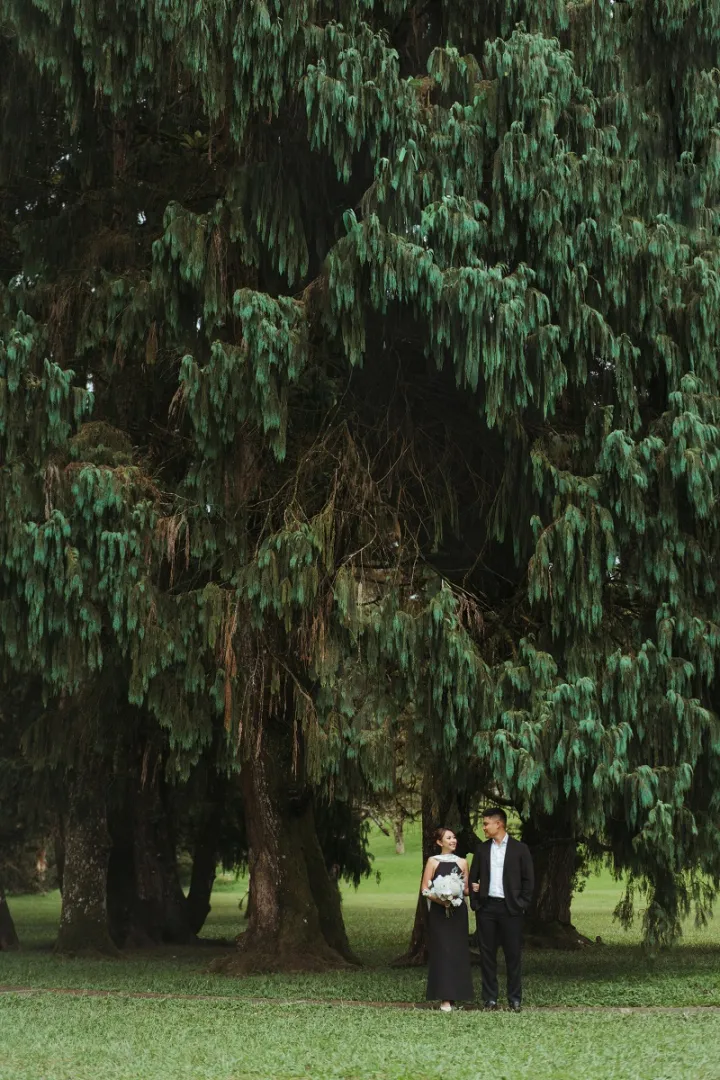 img-gallery
